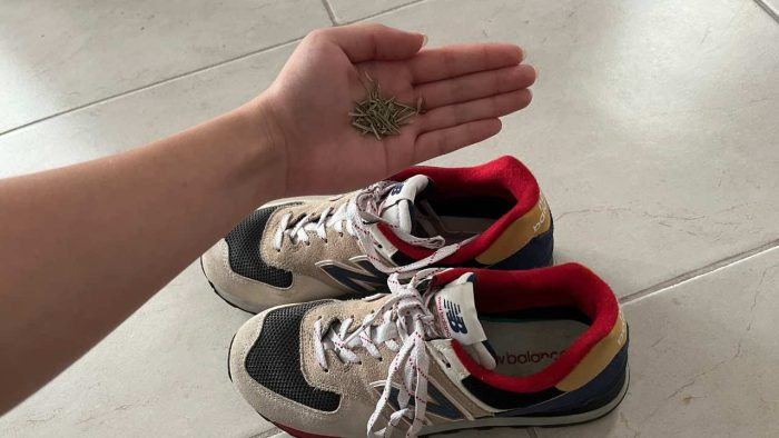 Pon romero en los zapatos antes de ir a dormir: por qué