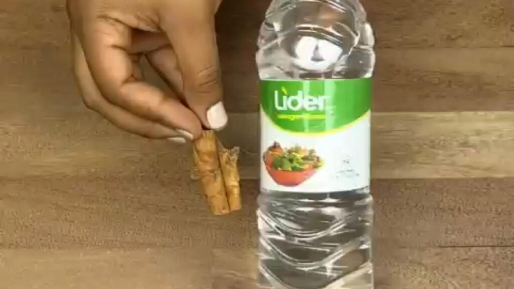 Si los insectos han invadido tu casa, no te preocupes: ya no serán un problema.