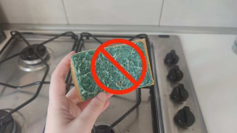 Si usas la esponja para lavar los platos para limpiar la cocina, deja de hacerlo: “Daños a la salud”