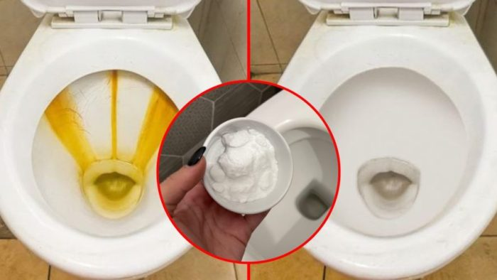 Tártaro en el baño, cómo eliminarlo: usa este poderoso remedio natural