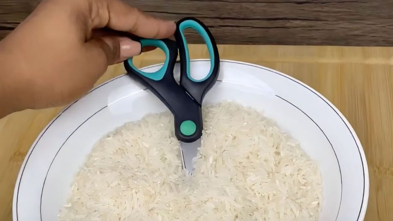 Tijeras, colócalas en un plato lleno de arroz: lo que sucede podría sorprenderte