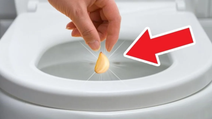 Tirar un diente de ajo en el inodoro: el consejo de la abuela que elimina este horrible problema! Resultados inmediatos