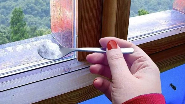 Una cucharada de este ingrediente y repelerás los insectos en segundos