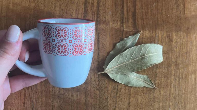 Una taza de café y dos hojas de laurel, mézclalas y verás: en casa valen oro
