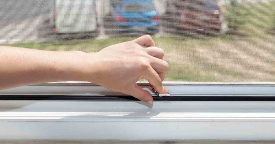 Zanzariere: el consejo para limpiarlas sin desmontarlas, adiós a la suciedad acumulada