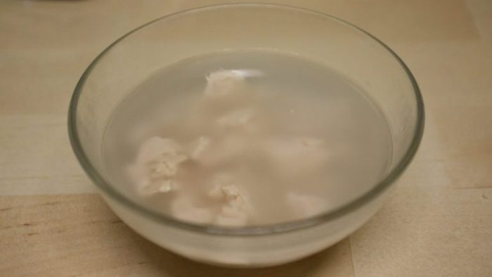 ¡Elegida la mejor trampa para mosquitos de todos los tiempos! Mira cómo hacerla