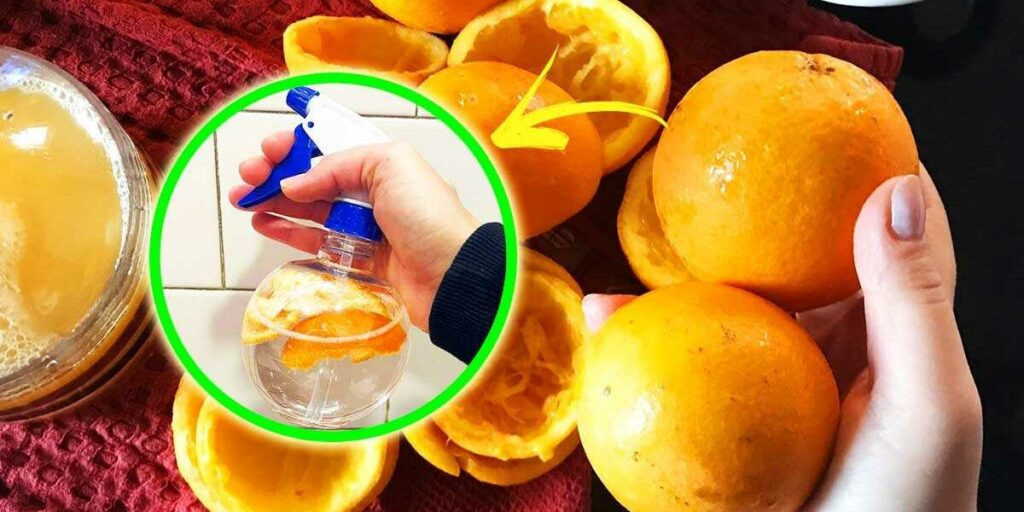 ¡Solo una naranja para perfumar tu casa todo el día!