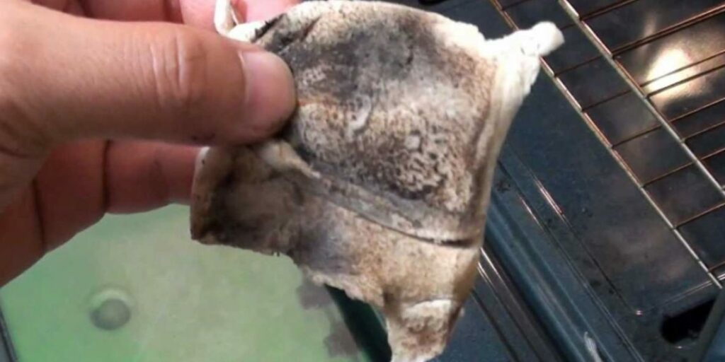 ¿Cómo limpiar con éxito la ventana del horno cuando está muy sucia?