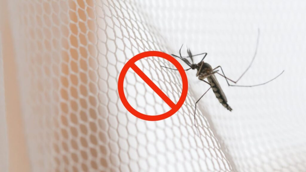 ¿Por dónde entran los mosquitos en casa? No lo habrías imaginado: se van por aquí