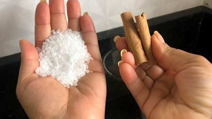 Con este truco casero, cualquier habitación maloliente olerá fresca