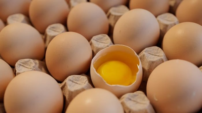 Este método permite conservar los huevos durante un año.