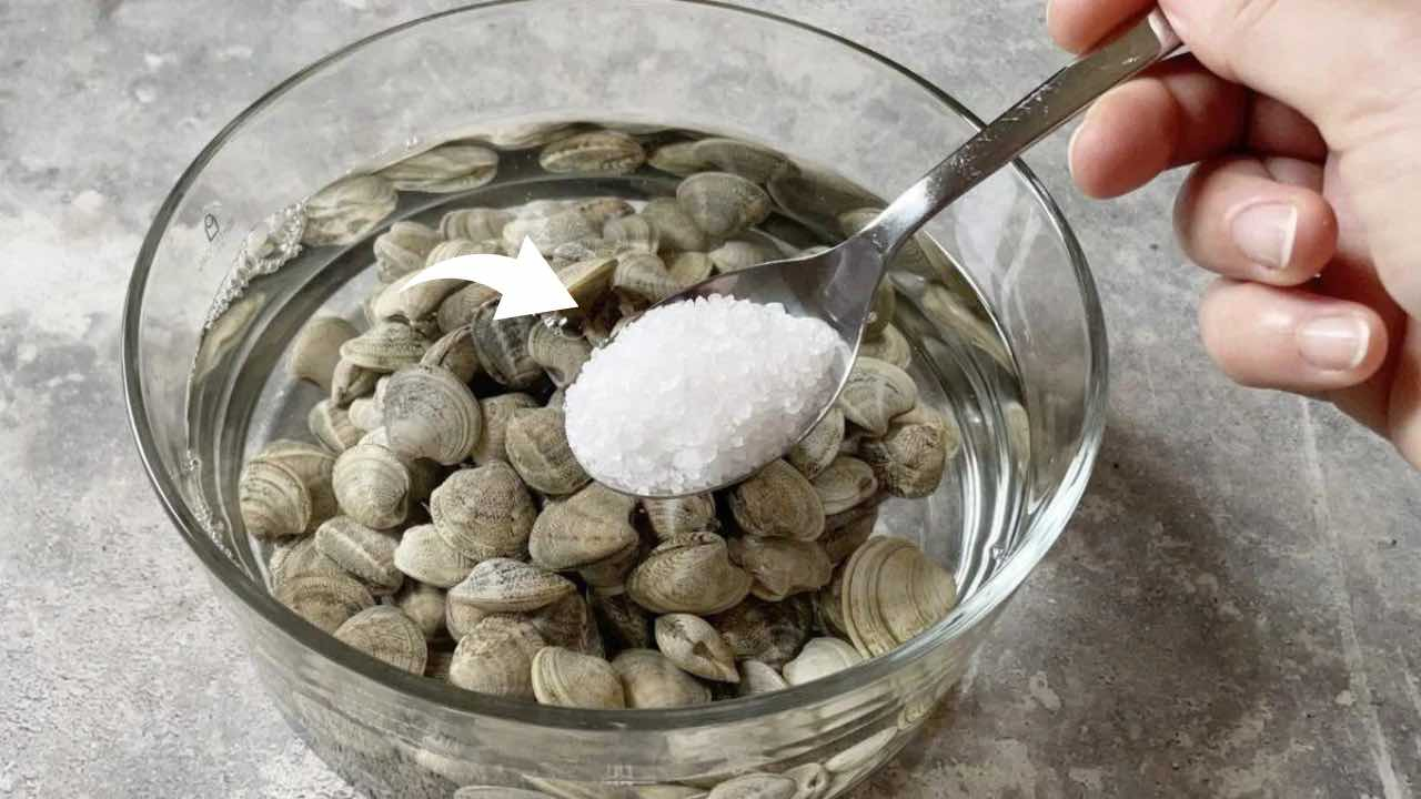 Adiós a la arena en las almejas, solo echa una cucharada en el agua.