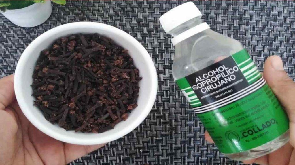 Agrega 3 cucharadas de alcohol a los clavos de olor; no tienes idea de lo que sucede
