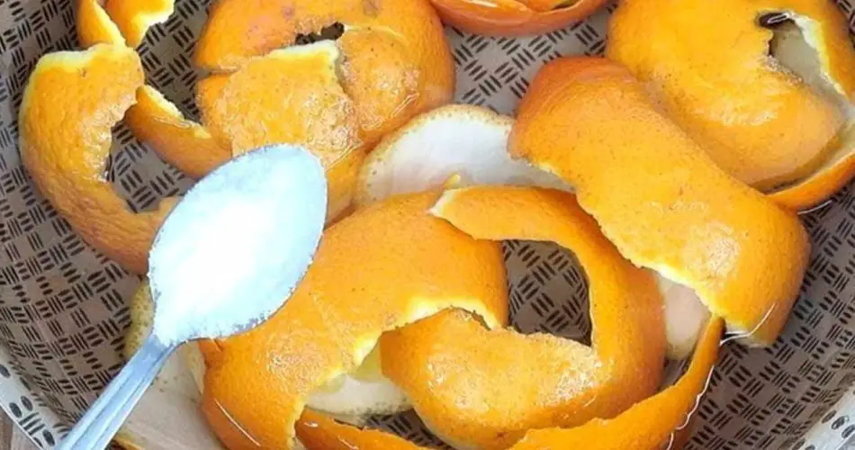Agregue sal a las cáscaras de naranja y no desperdicie más dinero: en el hogar valen oro
