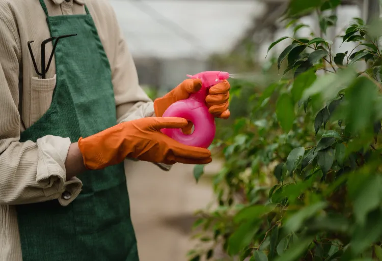 Agricultura biológica: 4 recetas de insecticidas caseros naturales que respetan el planeta