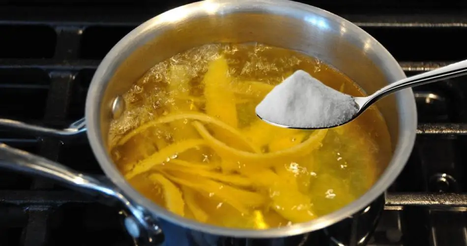 Agujeros de limón, hiérvelos con una pizca de sal – la razón es sorprendente