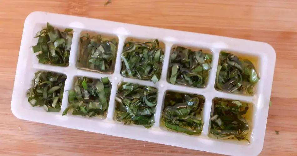 Albahaca, el truco para conservar las hojas frescas hasta 6 meses | Menos desperdicio