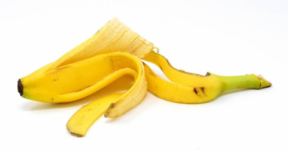 Alimenta tus plantas con té de cáscara de plátano: la clave para un jardín floreciente