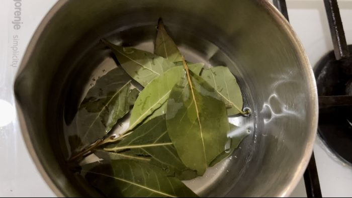 Aplícalo en tu casa durante 1 hora y nunca volverás a ver moscas, mosquitos ni cucarachas.