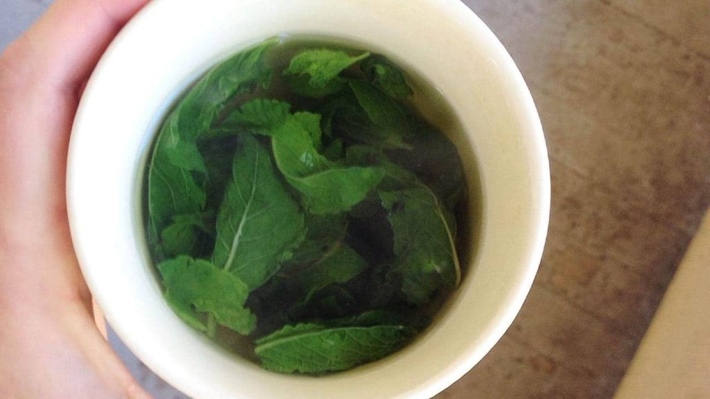 Así refrescas el aire en casa con 1 euro: no gastes dinero en el aire acondicionado