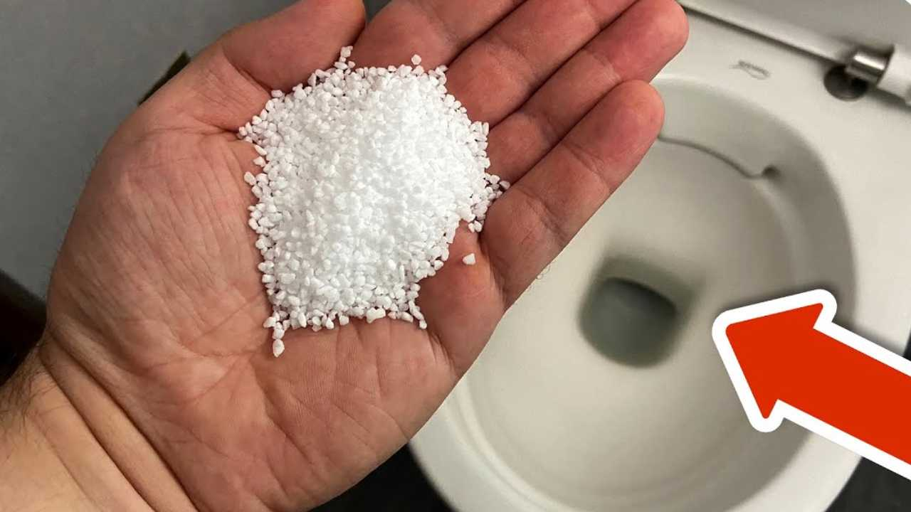 Baño siempre limpio y nunca atascado, ese es el secreto de los fontaneros