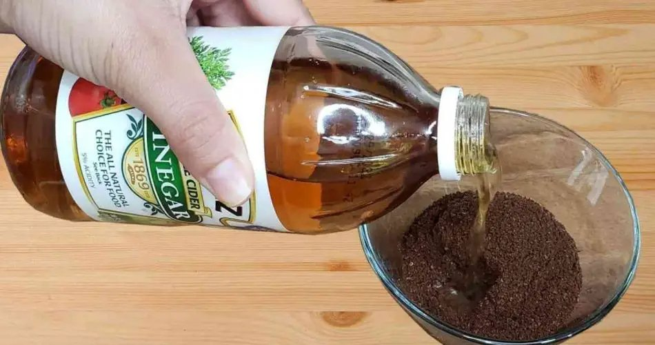 Beneficios sorprendentes de mezclar vinagre de sidra de manzana con posos de café