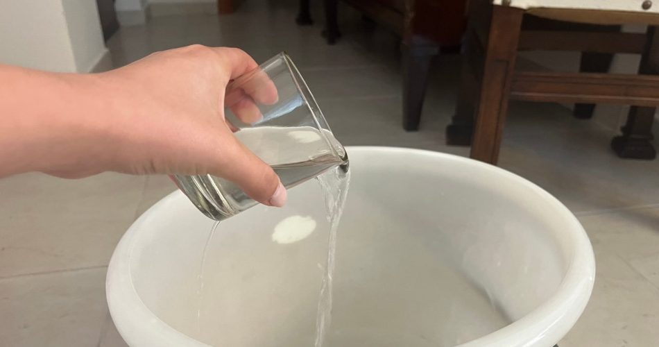 Casa invadida por cucarachas, cómo limpiar el suelo para eliminarlas rápidamente