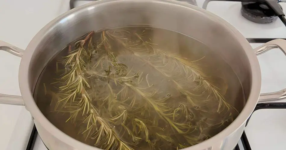 Cocine 5 ramitas de romero y se deshará de un problema molesto
