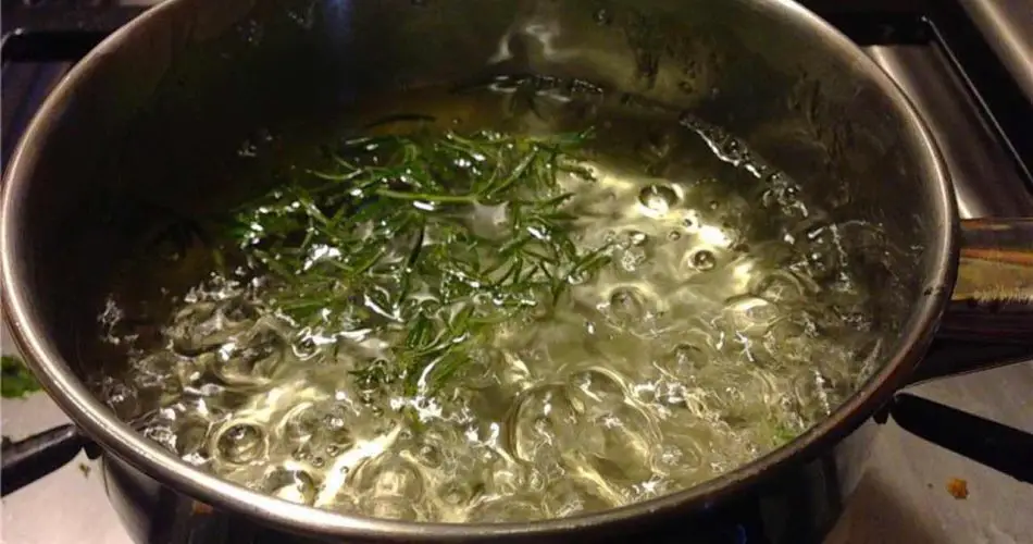 Cocine en casa 10 ramas de romero y sorpréndase de lo que notará después de un tiempo