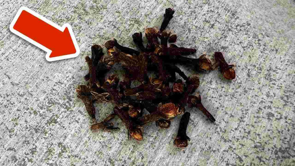 Coloca un puñado detrás de tu puerta de entrada: te desharás de este problema muy común.