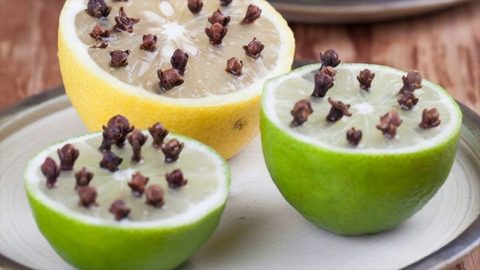 Coloque clavos de olor debajo de la cama. Sus problemas desaparecerán