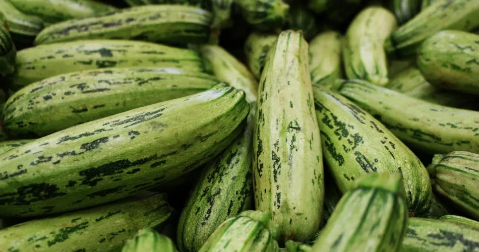Cómo conservar calabacines durante 6 meses sin congelar: un truco sorprendente