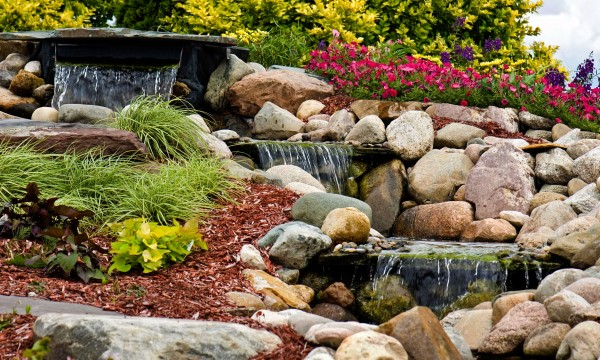 Cómo elegir flores tardías y gramíneas que brillan en otoño