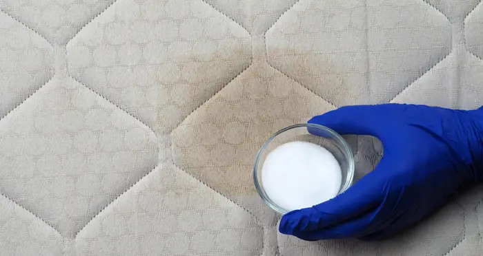 Cómo limpiar un baño sucio y eliminar el olor a orina del sofá, el colchón y el baño