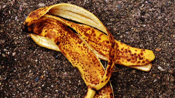 Cómo preparar fertilizante casero de cáscaras de plátano para su jardín