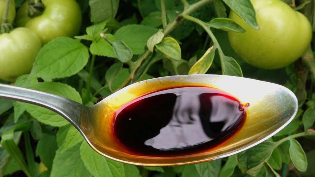 Complemento importante para todas las plantas: tomates, calabacines y pepinos dobles