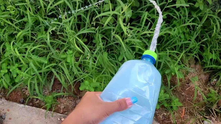 Con 50 Cent puedes eliminar todas las malezas del huerto y jardín: así te desharás de ellas