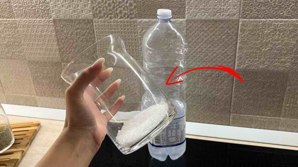 Con este ingrediente, despídase de la humedad en casa: la absorbe en solo unos minutos