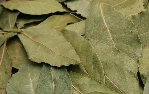 Cuatro sorprendentes efectos de la combustión de hojas de laurel en casa