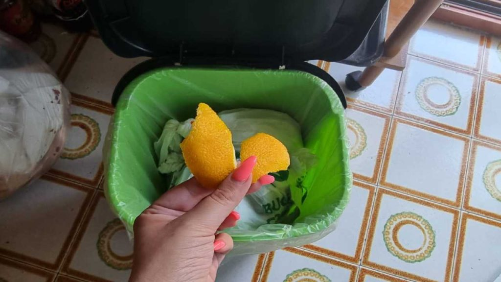 Cubo de basura maloliente: aquí aprenderá cómo resolver el problema con un simple movimiento