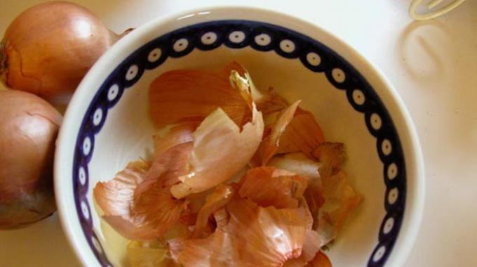 Dadles pepinos y cobrarán vida, crecerán rápidamente y darán una cosecha abundante.