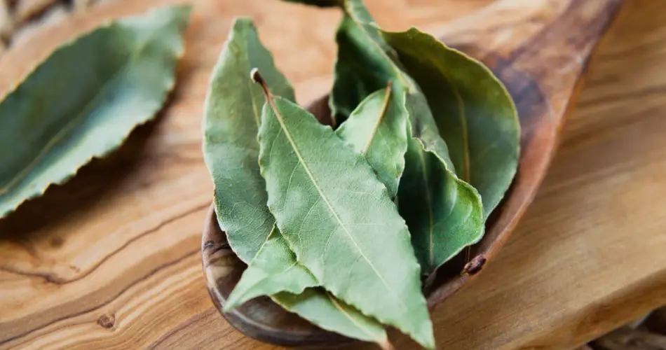 Despídete de hormigas y cucarachas con esta sábana mágica