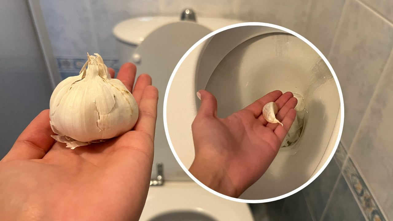 Disfruta la comida, sácala sin olor antes de acostarte: lo que sucede es extraordinario