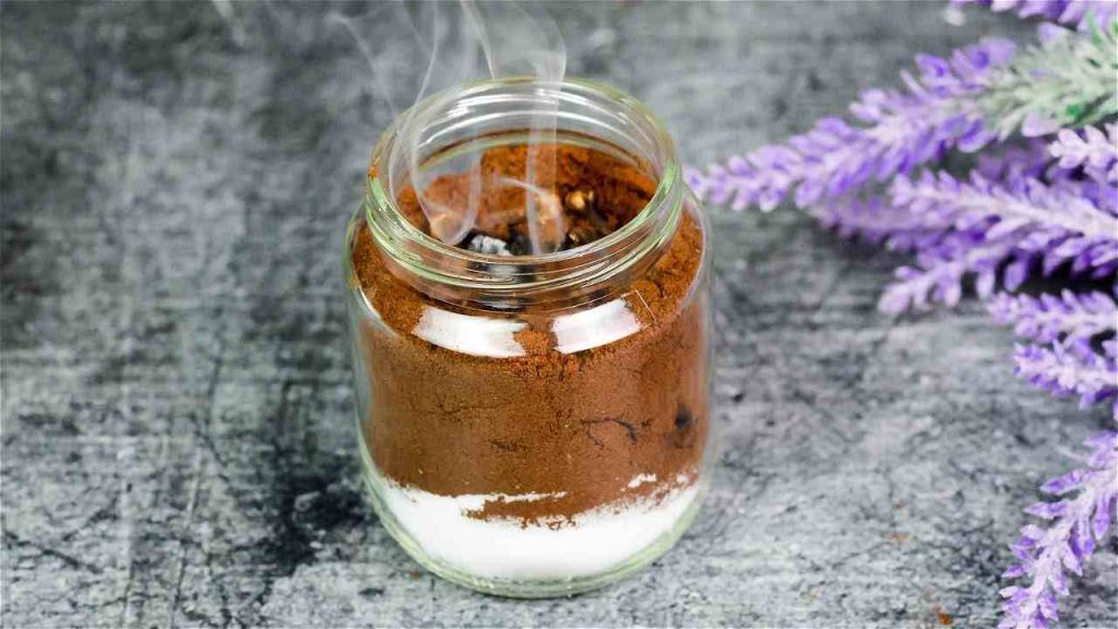 El método natural y poderoso para alejar moscas, mosquitos y otros insectos de tu hogar