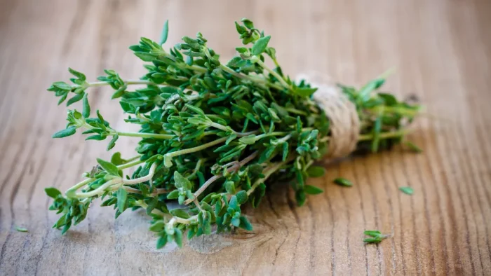 El tomillo es una planta versátil con muchos beneficios