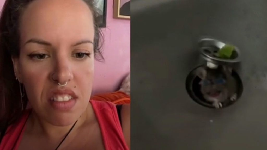 Ella estaba en la cocina, pero de repente lo ve aparecer: incluso los vecinos escuchan los gritos