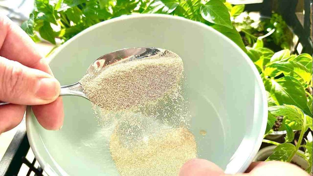 Esto acelera considerablemente el crecimiento de las plantas que tienes en tu balcón y jardín.