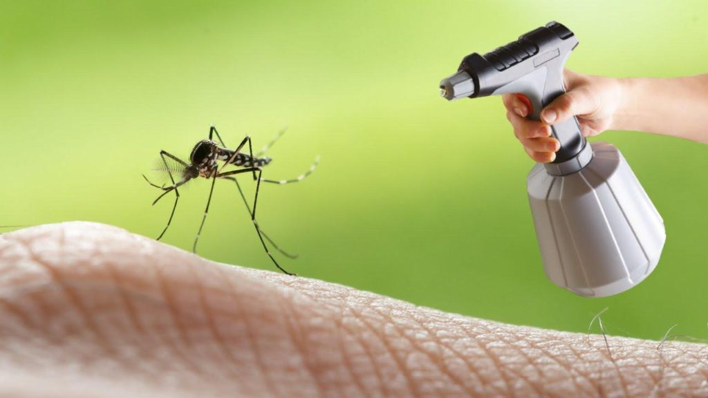 Esto los ahuyenta como el fuego: potente repelente natural de mosquitos