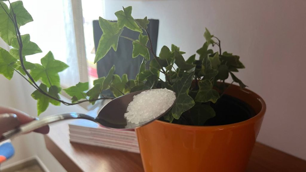 Fertilizante orgánico muy potente que mantiene todas sus plantas saludables durante 12 meses