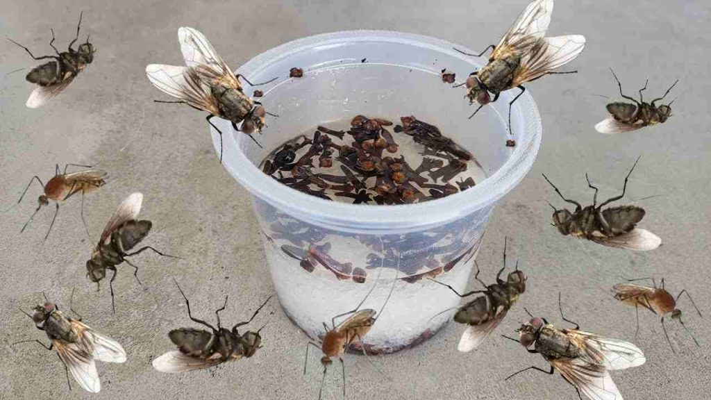 Hace volar moscas, mosquitos y cucarachas en menos de 10 minutos.